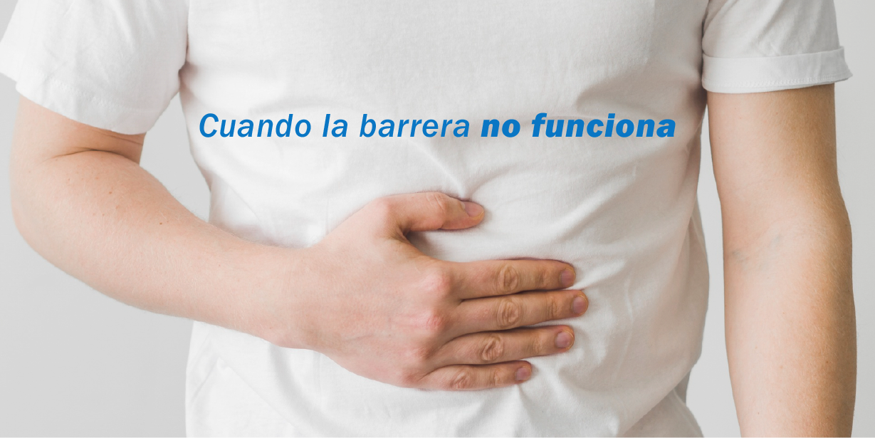 Intestino Permeable El Punto De Partida De Muchos Problemas De Salud