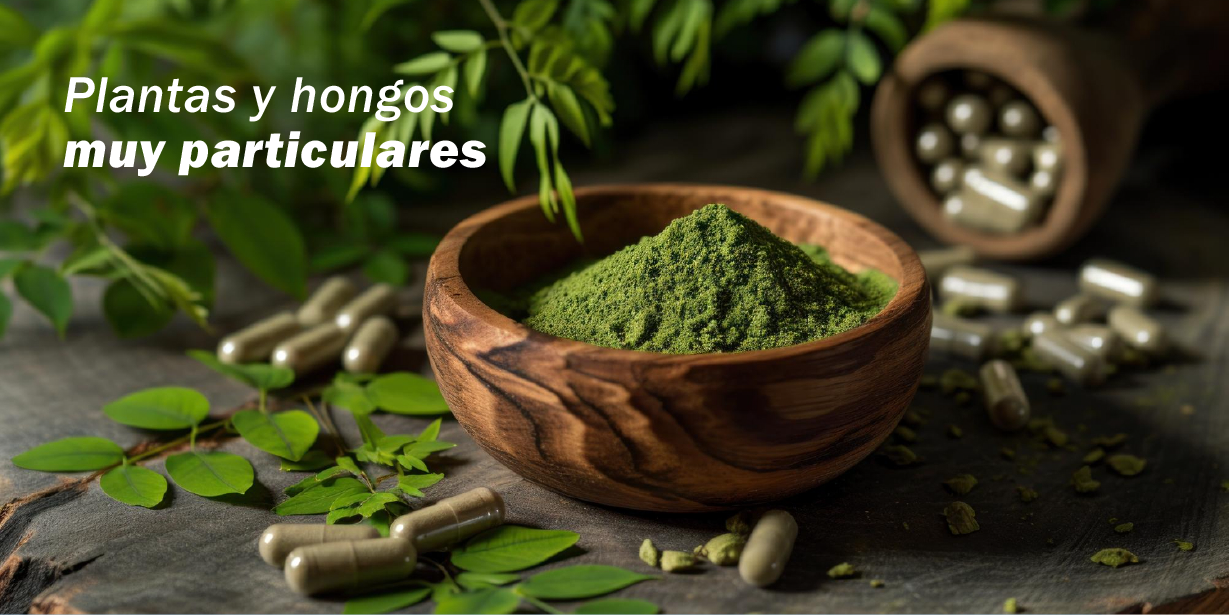 El fascinante origen de los adaptógenos