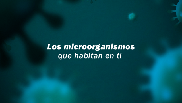 Microbiota intestinal