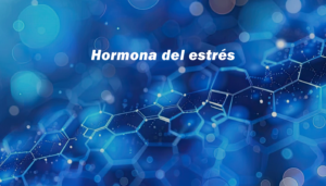 Cortisol - Hormona del estress