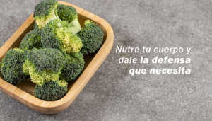 10 alimentos para fortalecer el sistema inmunológico