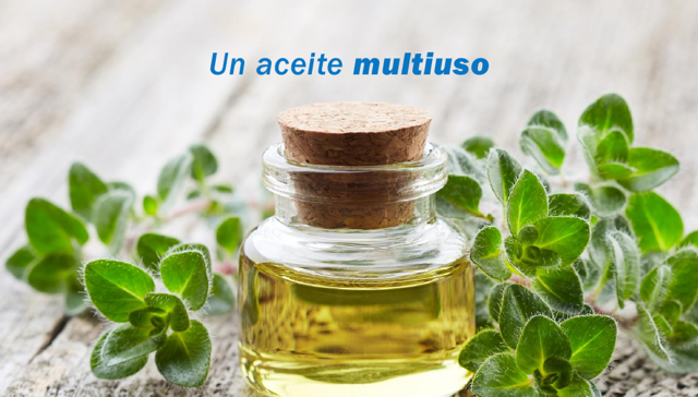 Aceite de Orégano. Beneficios y Propiedades