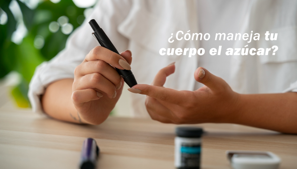 Conoce Las Diferencias Entre Diabetes Tipo Y Doctor Heal Online