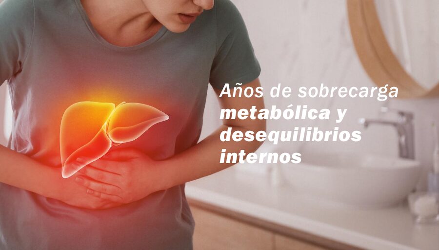 hígado graso